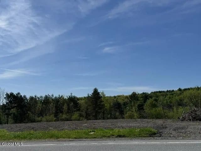 Land -Single Family Acreage in Duanesburg - Duanesburg, New York, 12053