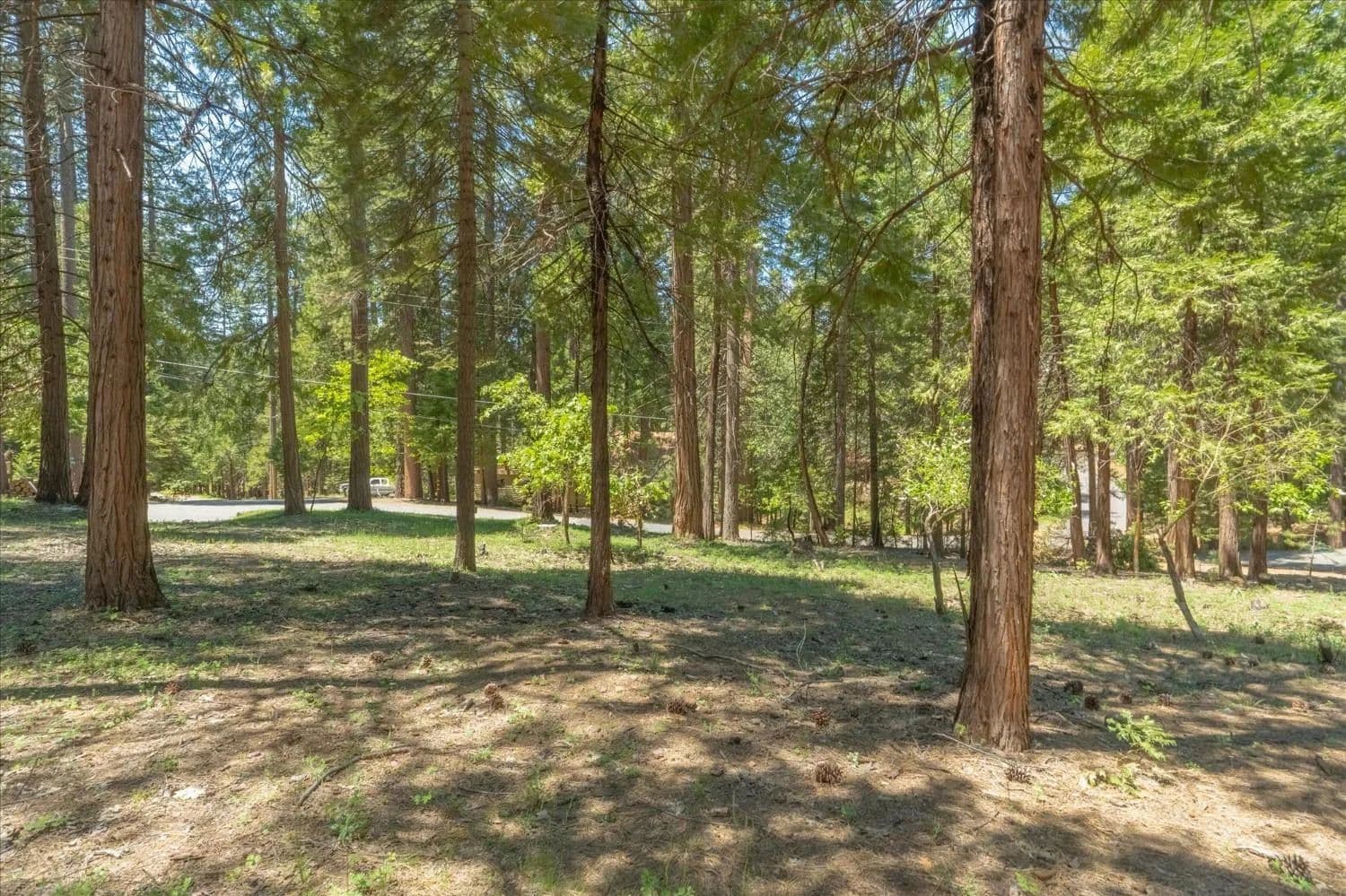 Property from 1621 Rawhide Drive - KW - Arnold, California, 95223
