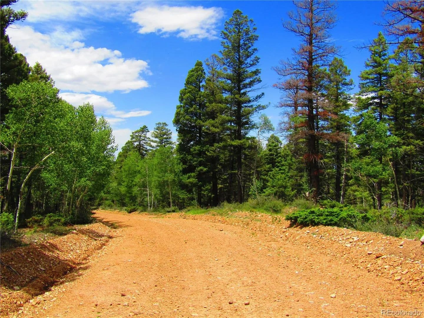 5.25 Acres of Land for Sale in San Luis, CO - San Luis, Colorado, 81152