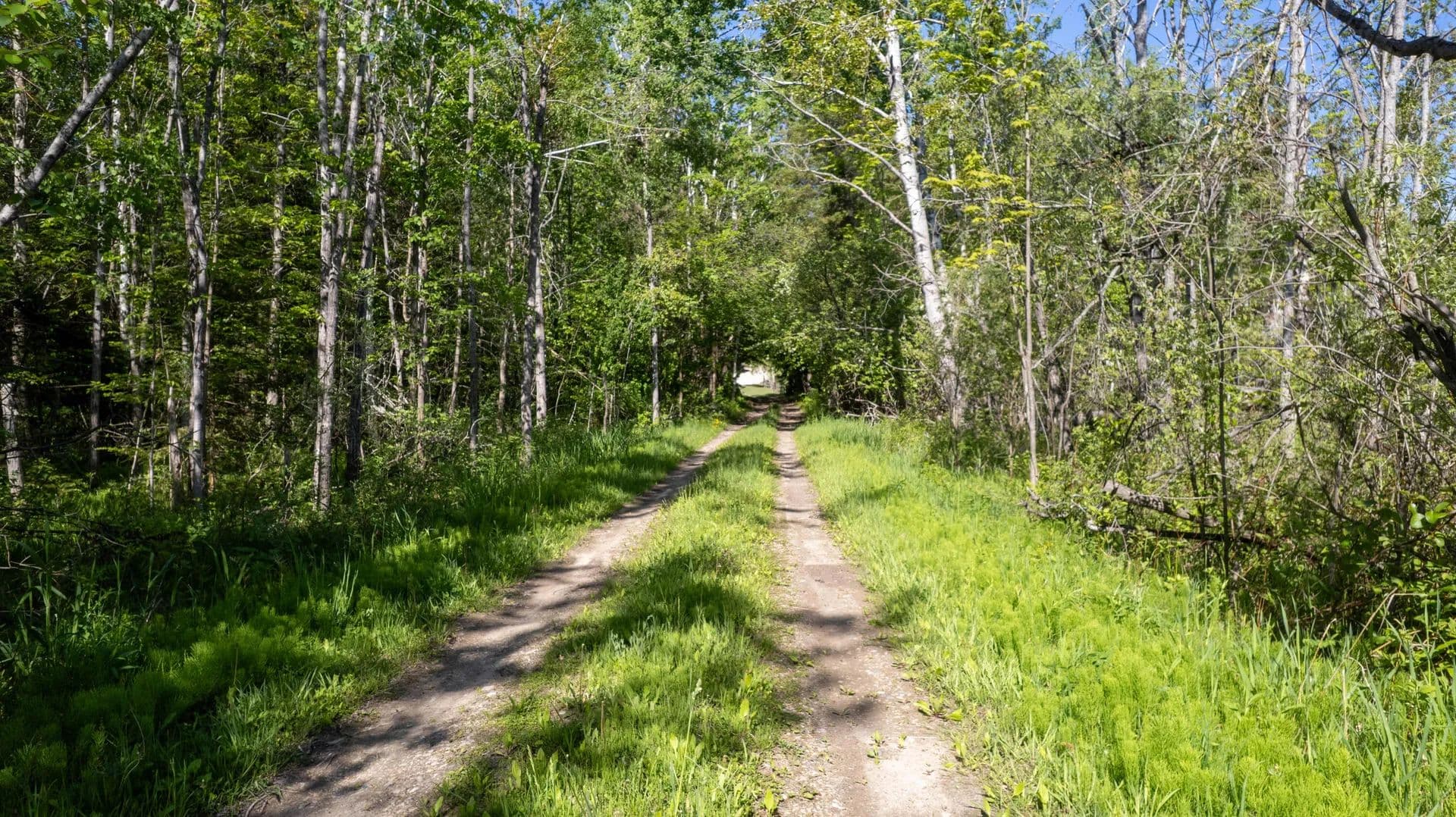 Vacant Land in Cheboygan - land for sale