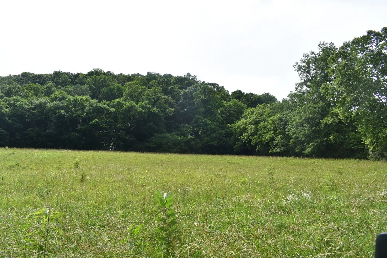 Property from 0 Pleasant Shade Hwy - KW - Pleasant Shade, Tennessee, 37145