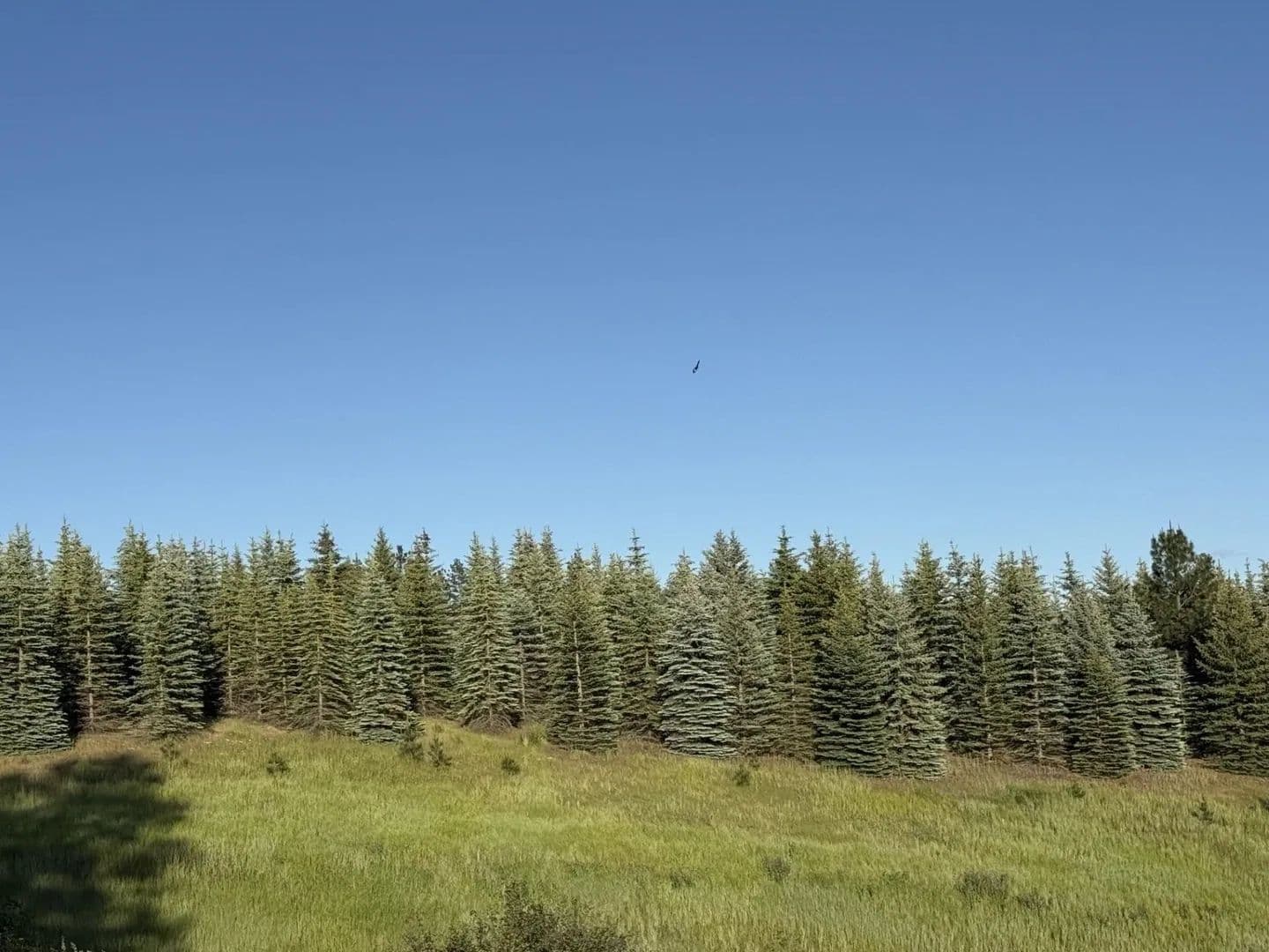 Property from 13XXX E Gibbs Rd - KW - Mica, Washington, 99023