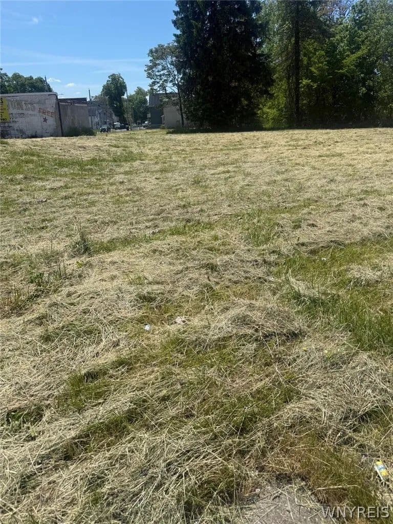 0.05 Acres of Land for Sale in Buffalo, New York - Buffalo, New York, 14211