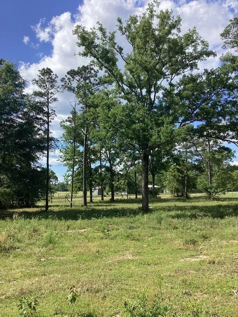 Lots & Land-Other in BOX SPRINGS - Box Springs, Georgia, 31801
