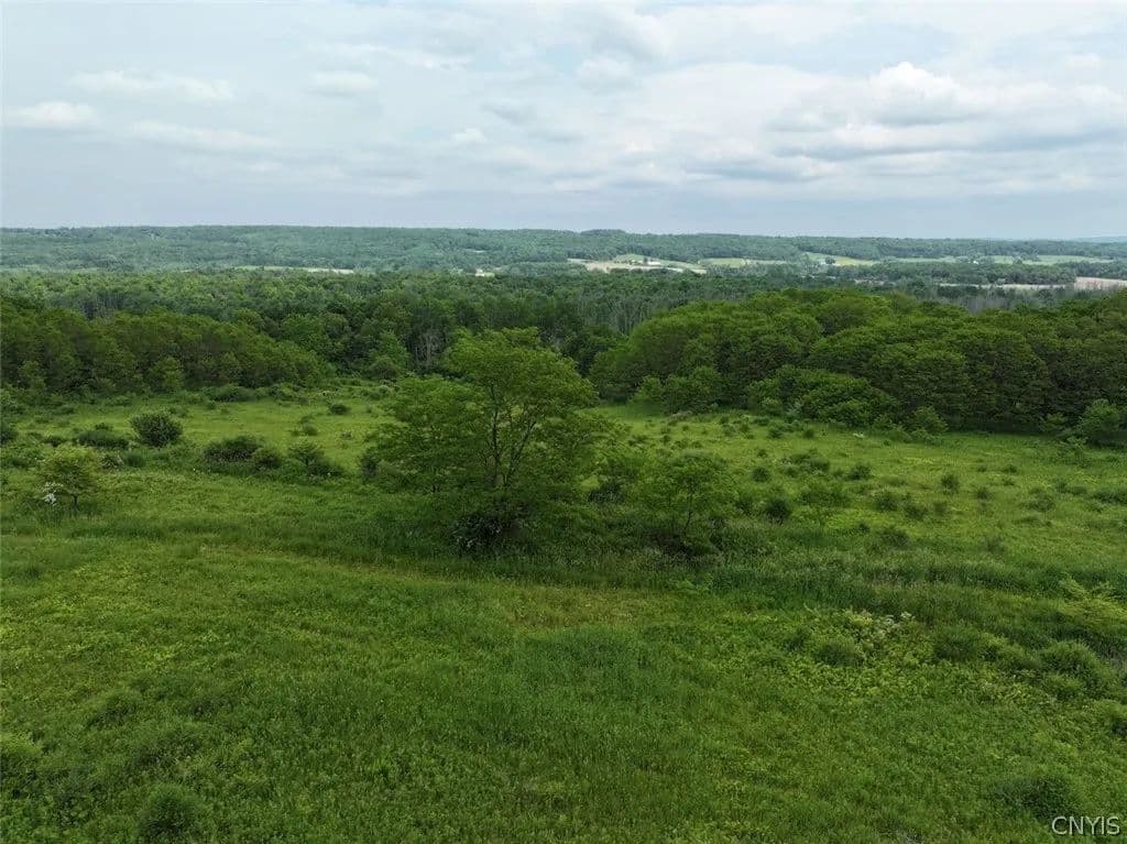 24.5 Acres of Land for Sale in South Dayton, NY - South Dayton, New York, 14138