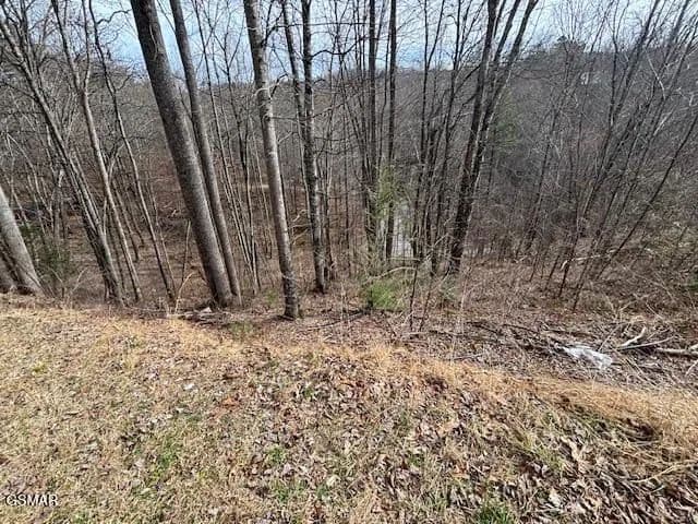 0.7 Acres of Land for Sale in Sevierville, Tennessee - Sevierville, Tennessee, 37876