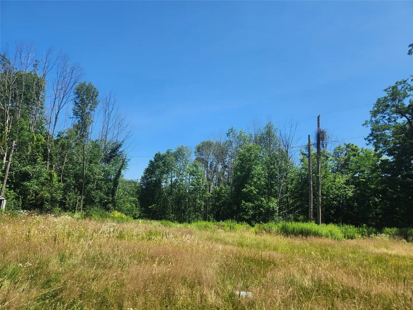 Land for Sale in Windsor, NY - Windsor, New York, 13865