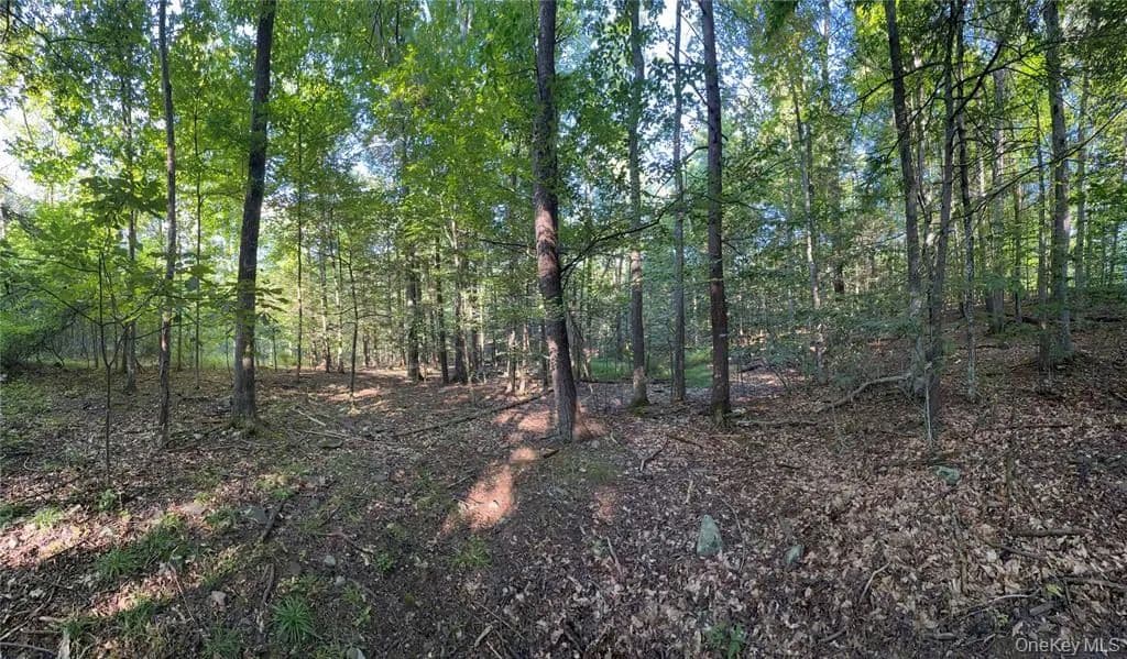 Land -Single Family Acreage in Mount Tremper - Mount Tremper, New York, 12457