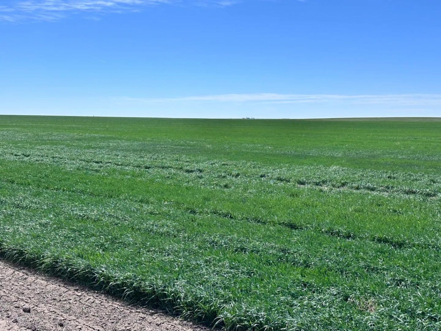 Furniture Row 1,714 Acres, #25028 - land for sale