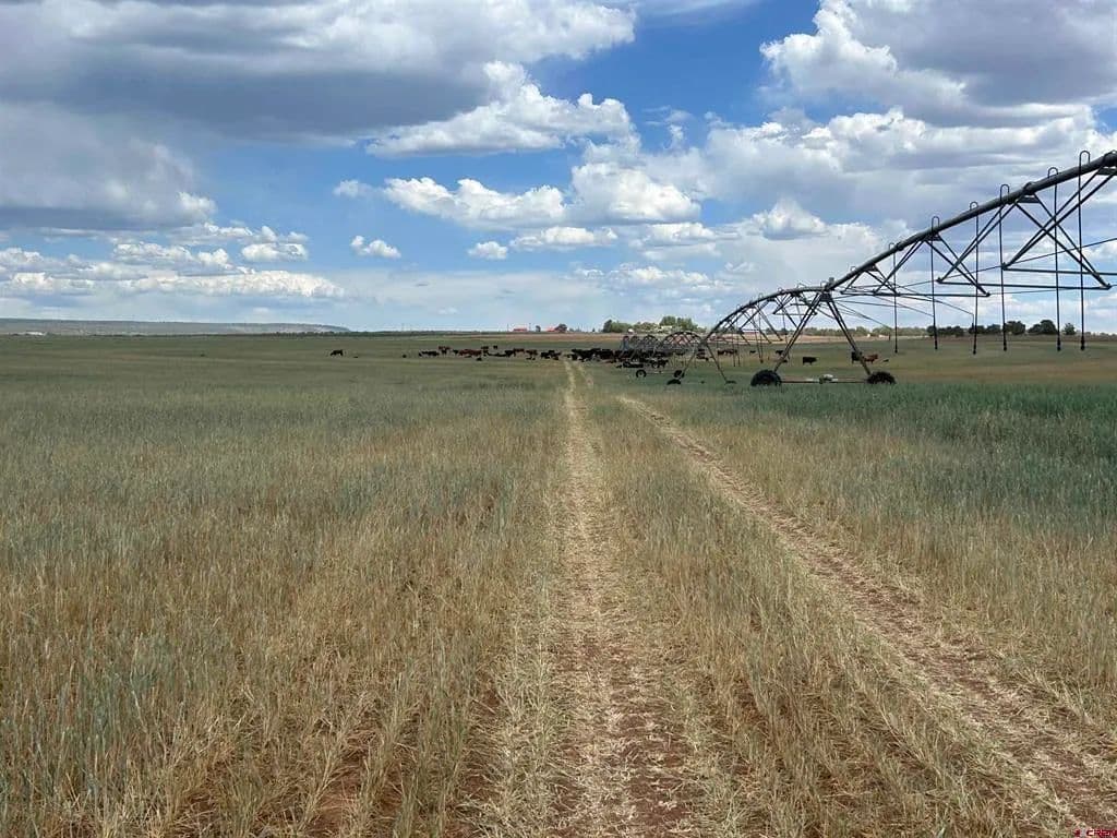 Property from TBD Road 15 - KW - Cahone, Colorado, 81320