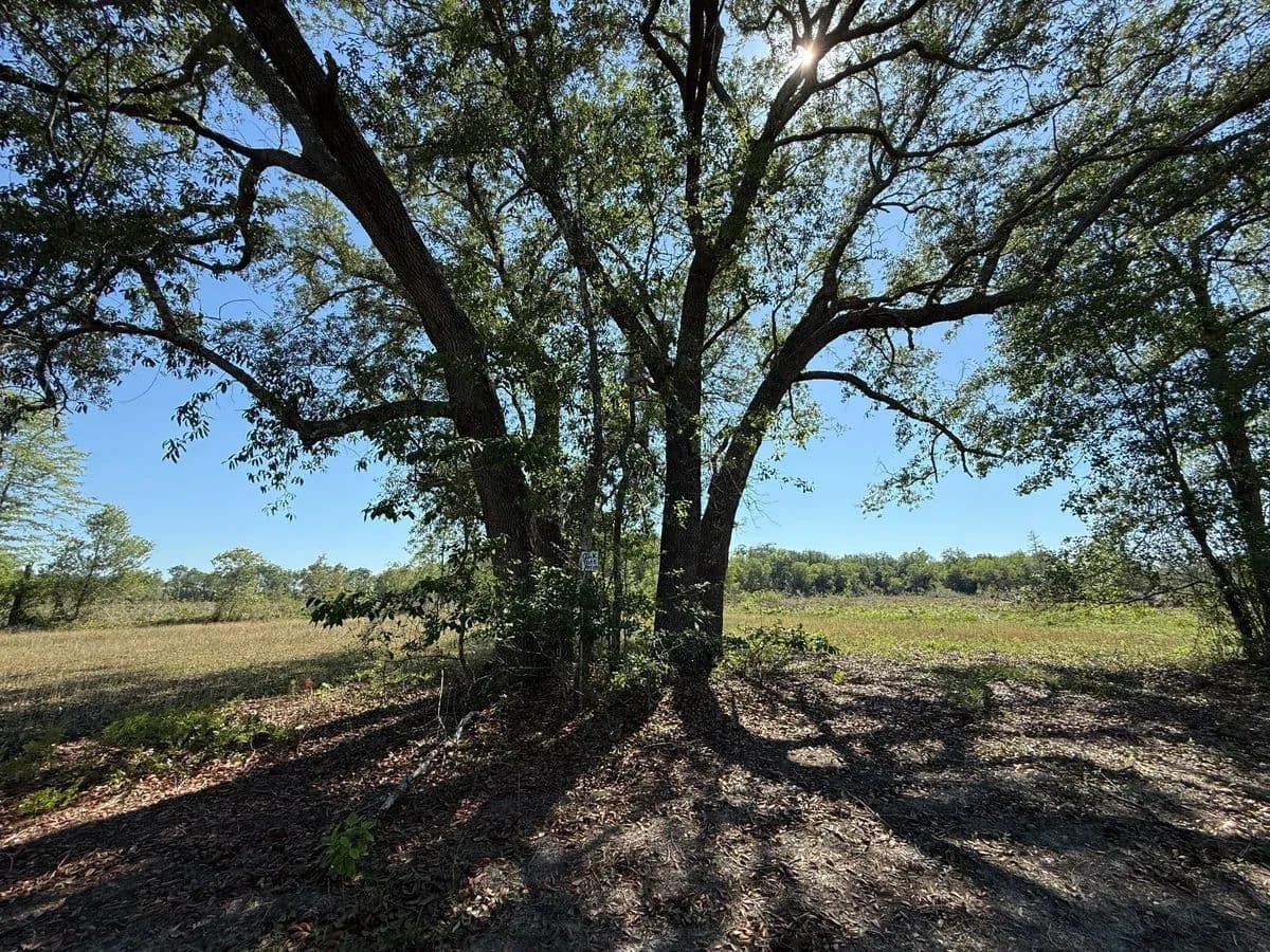Bradwell - Hosford, Florida, 32334