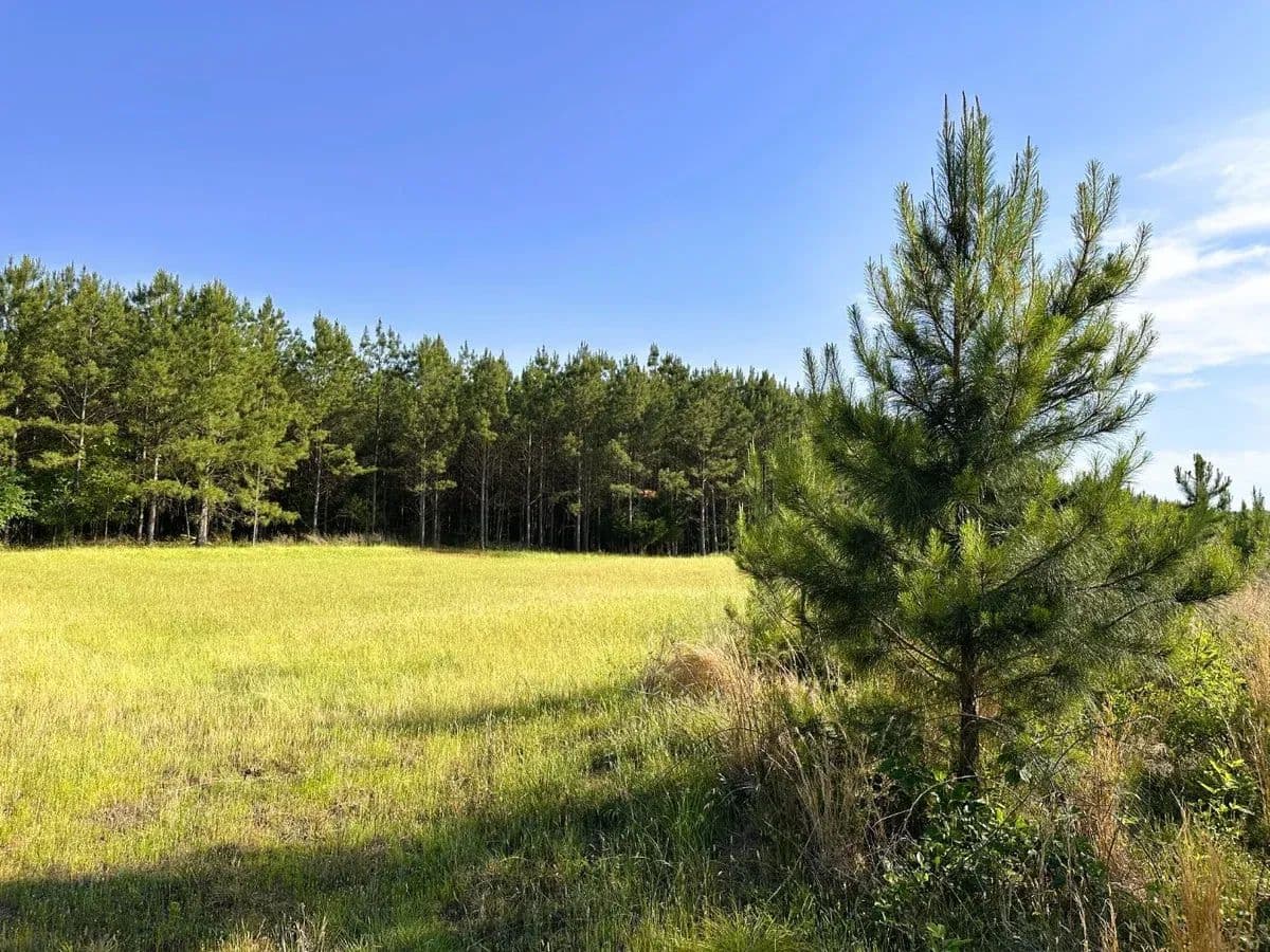 Beaverdam Branch - Bradley, South Carolina, 29819