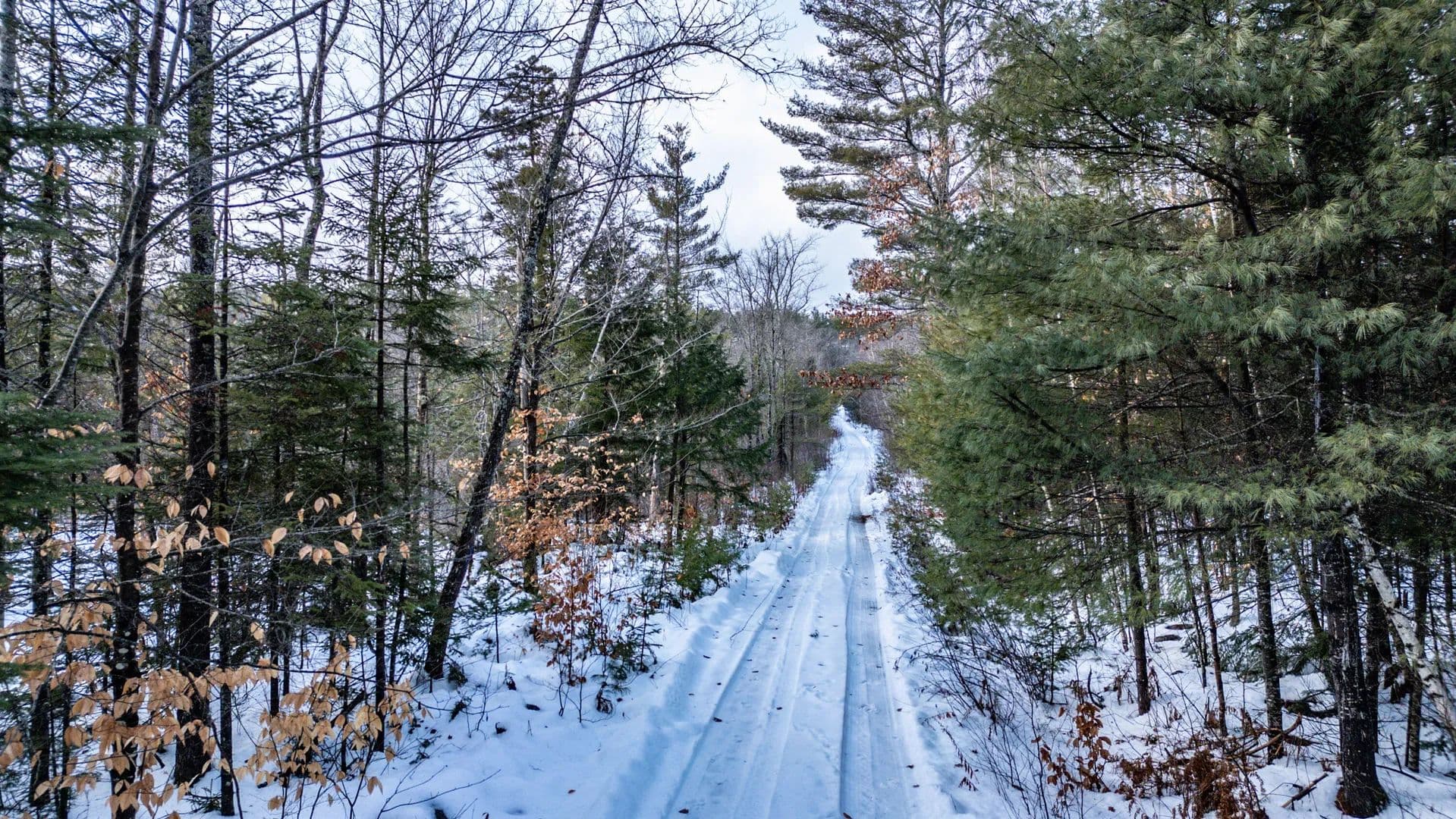 29.92 Acres of Land for Sale in Bethel, Maine - Bethel, Maine, 04217