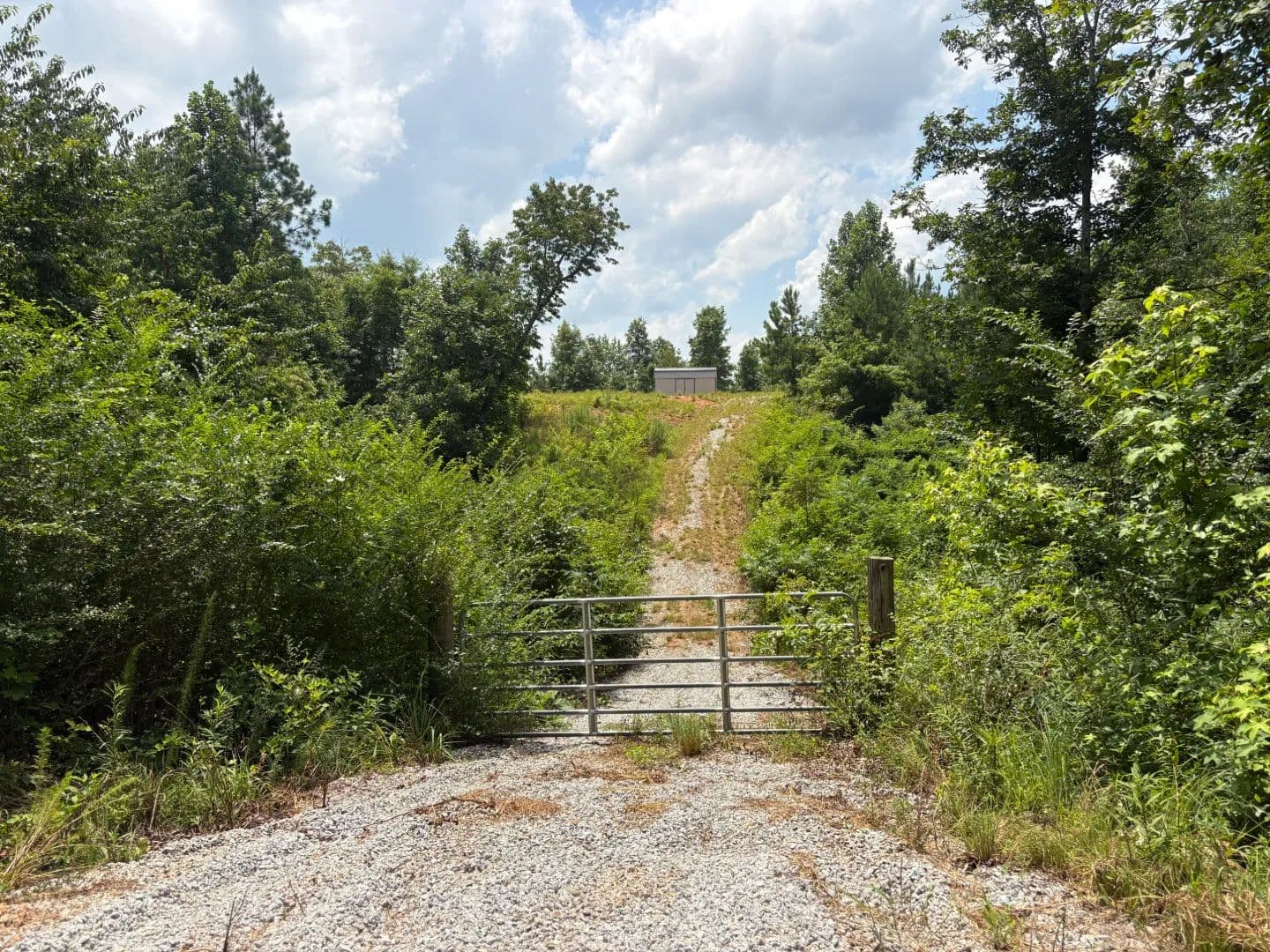 31.57 Acres Clay County, AL - Ashland, Alabama, 36251