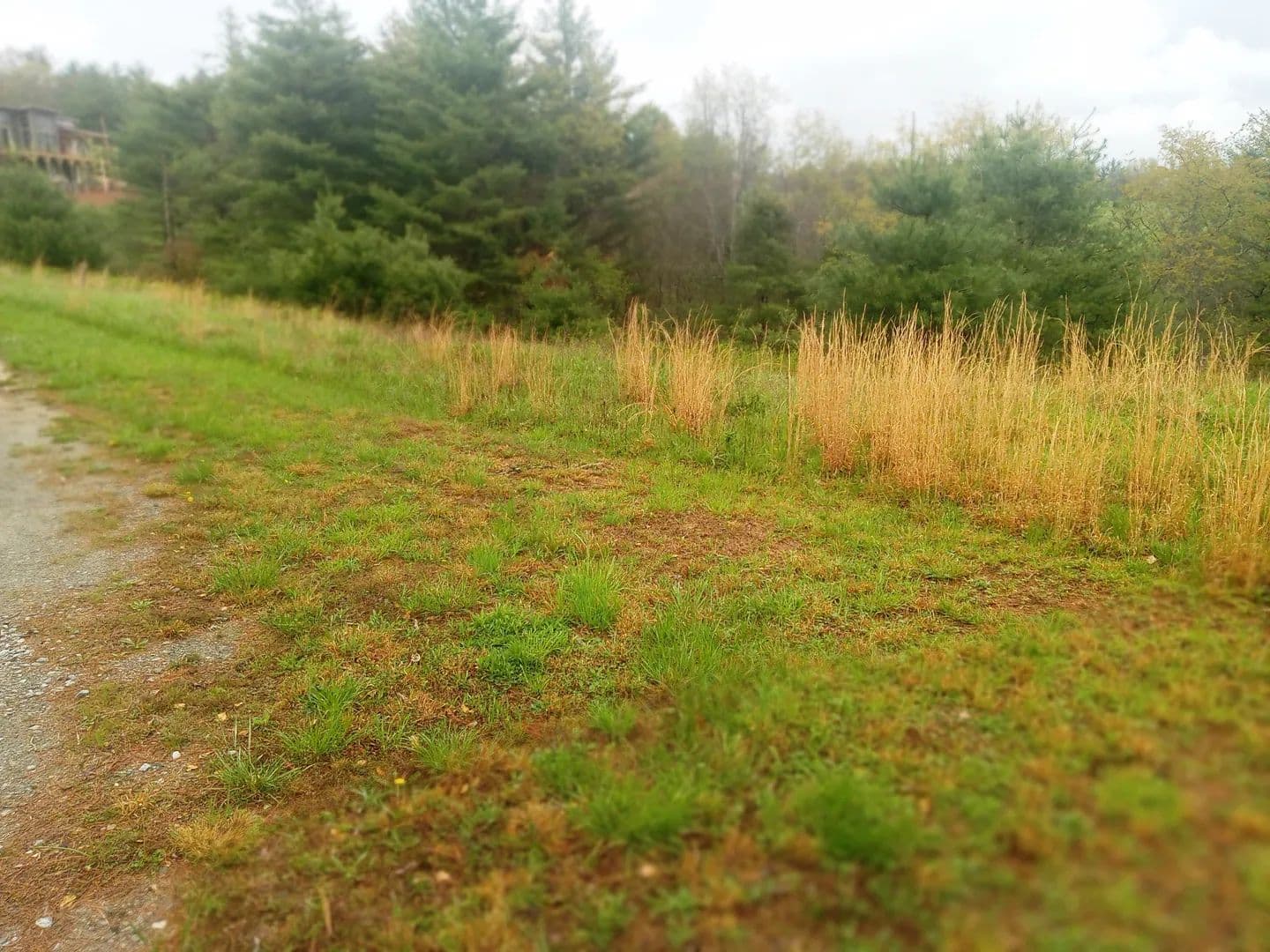 Vacant Land (0-10 Acres) in Laurel Springs - Laurel Springs, North Carolina, 28644