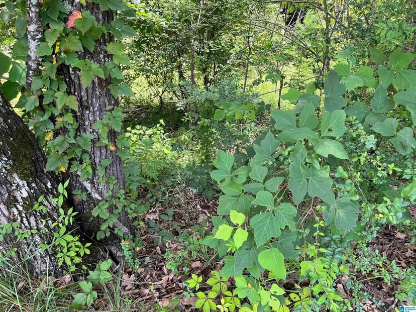 Property from 1401 PRIDMORE ROAD #0 - KW