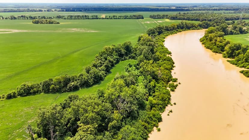 Delta Row Crop & Hunting Paradise