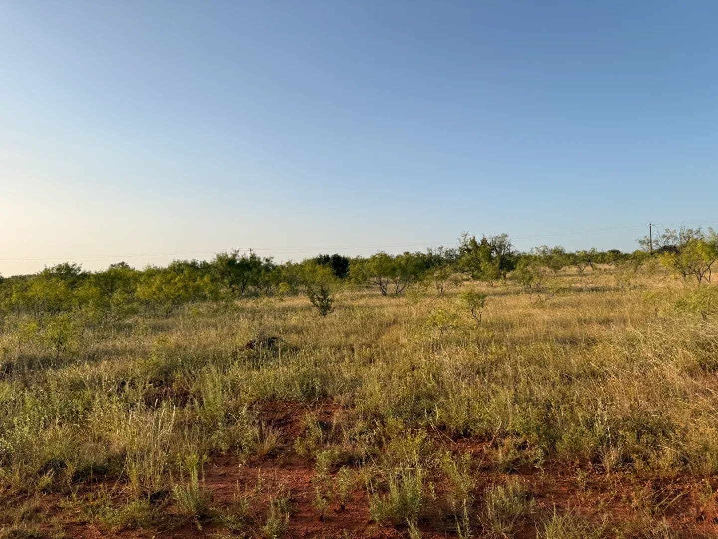 New Listing!!! 28+/- Ac (Tr 3), Taylor Co - Ovalo, Texas, 79541