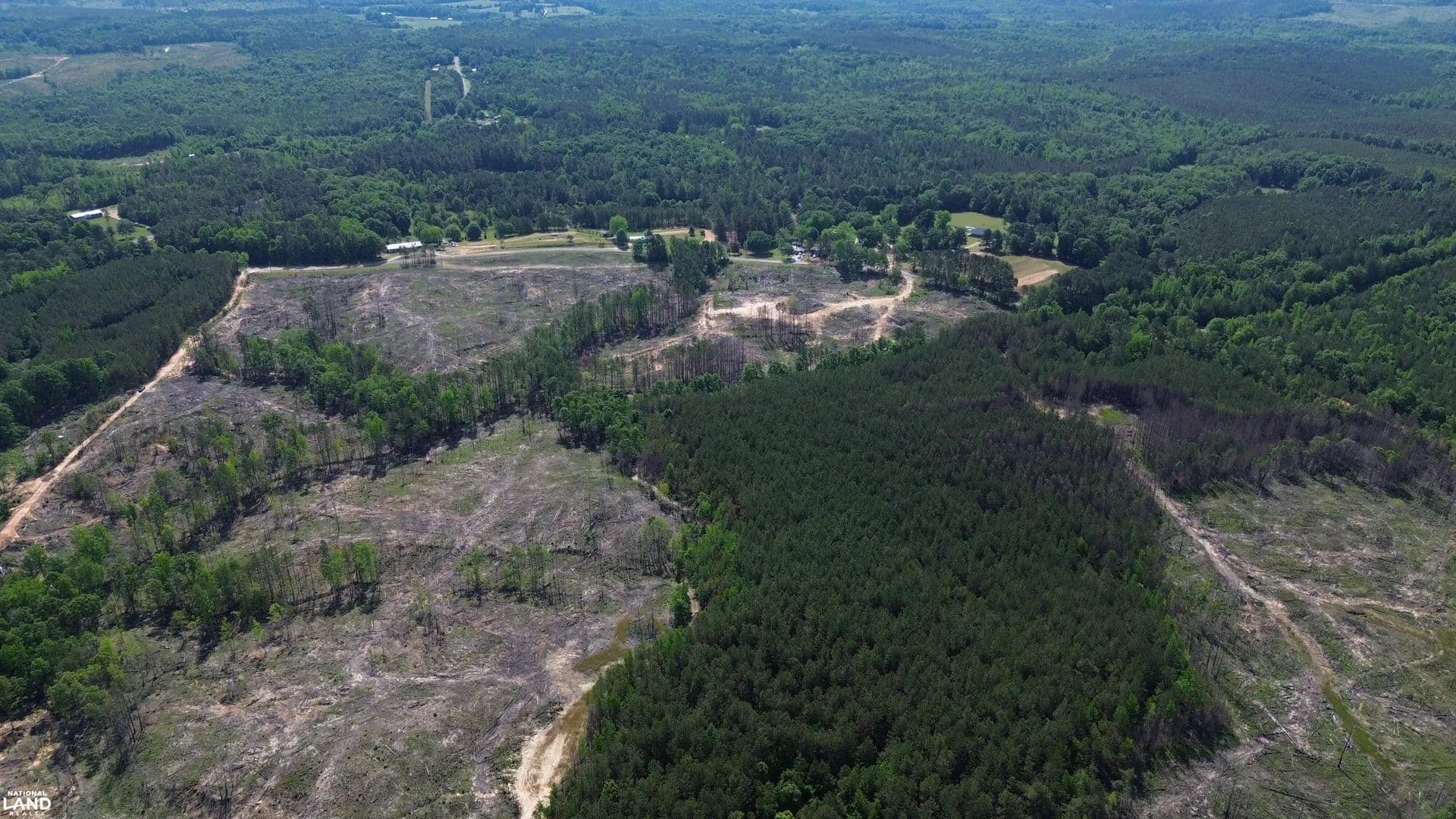 Tree Farm Road - Sulligent, Alabama, 35586