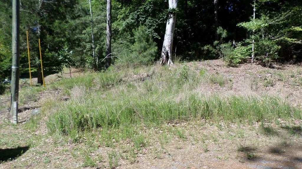 0.43 Acres of Land for Sale in Montross, Virginia - Montross, Virginia, 22520