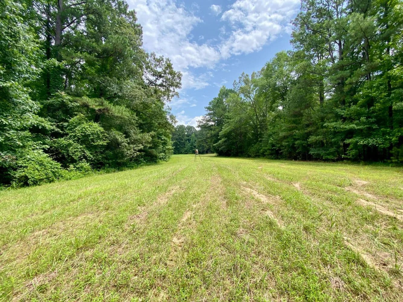 Northside: Dry Branch Loop - Hunting, Timber & Home Site Tract - land for sale