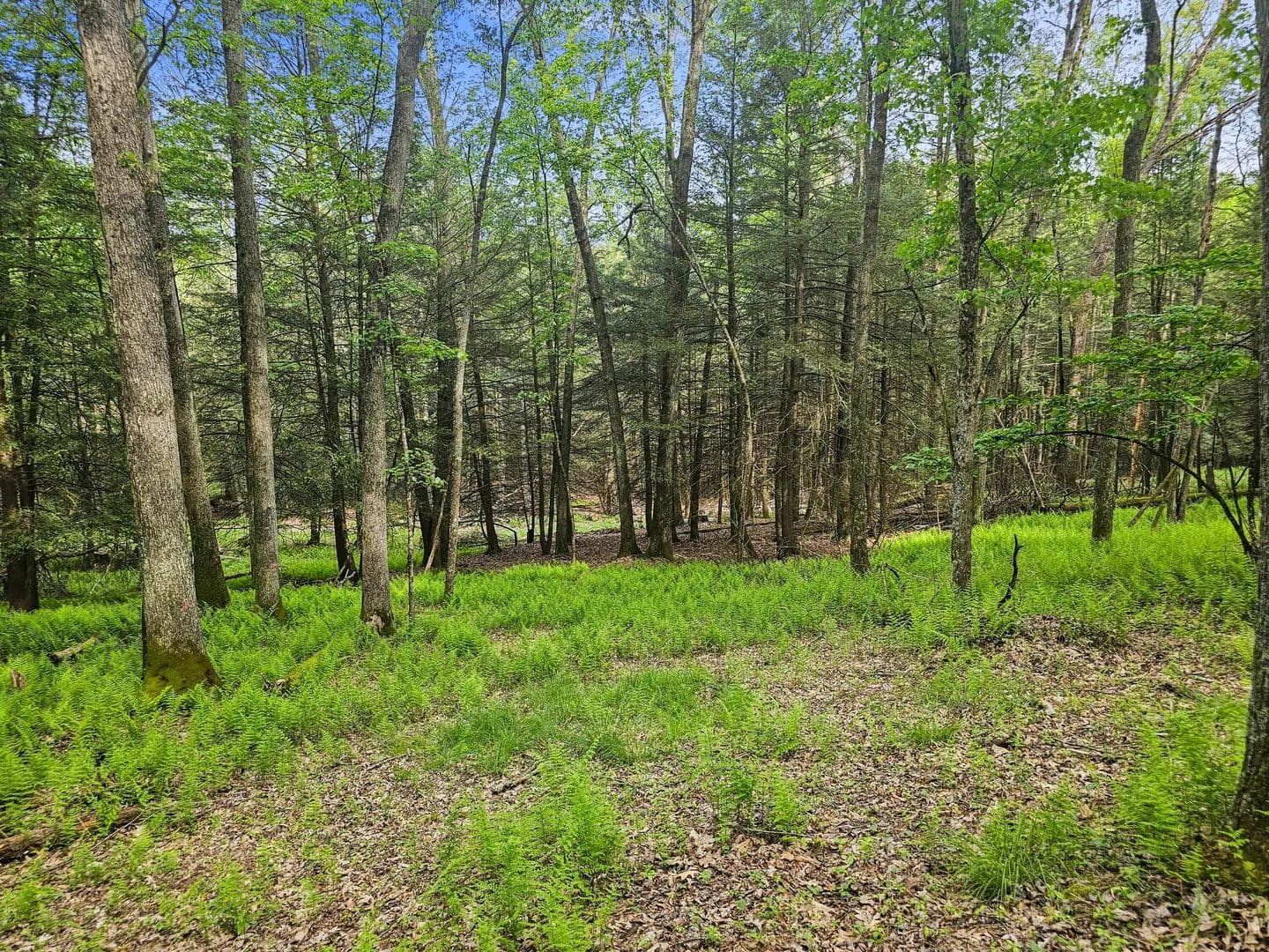 1.75 Acres of Land for Sale in Clearfield, Pennsylvania - Clearfield, Pennsylvania, 16830