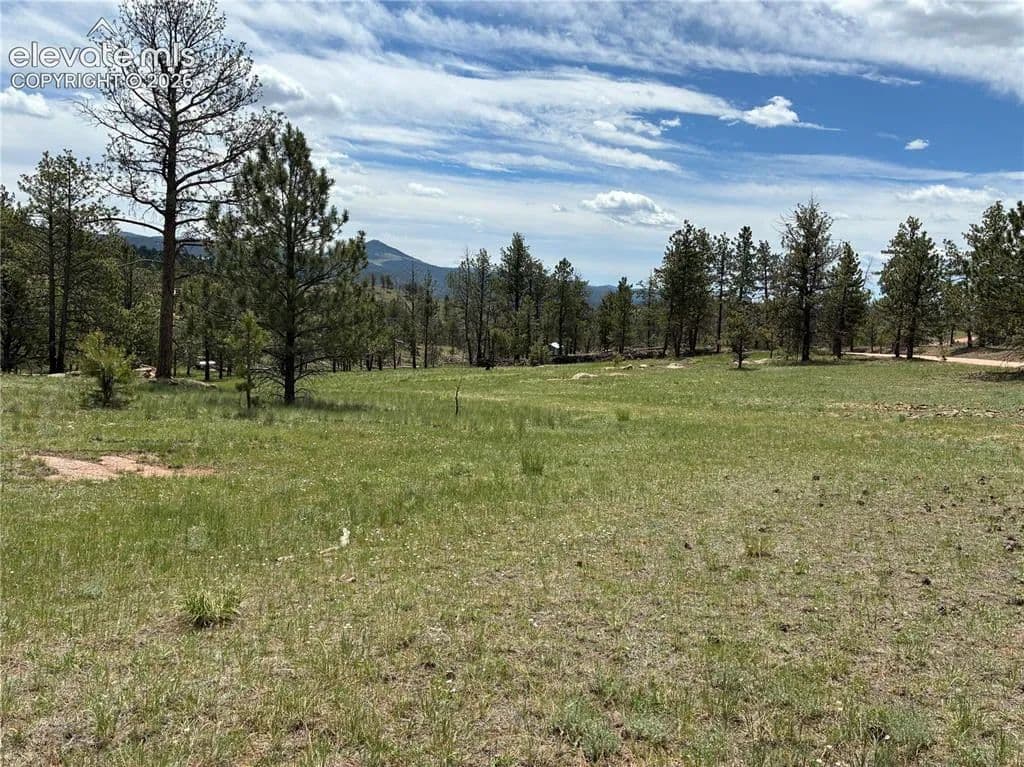 Property from 266 Chapparal Trail - KW - Florissant, Colorado, 80816