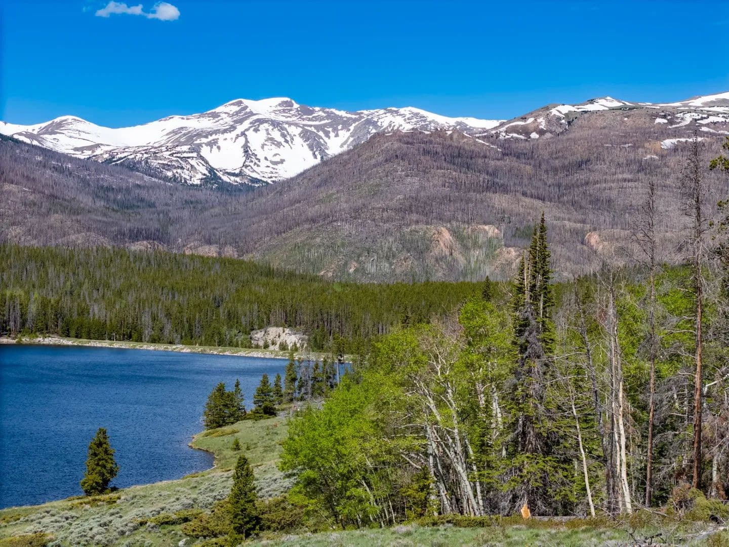 16 Lakefront Acres on Barnes Meadow Reservoir - Bellvue, Colorado, 80512