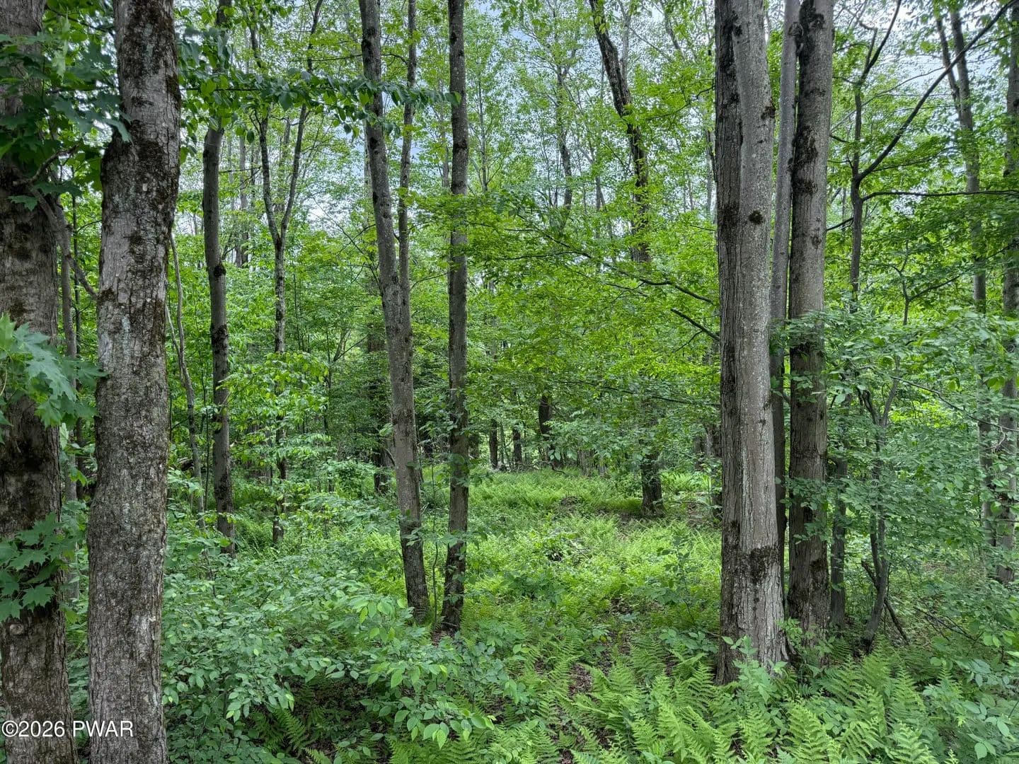 Property from Beaver Hollow Road - KW - Lakewood, Pennsylvania, 18439