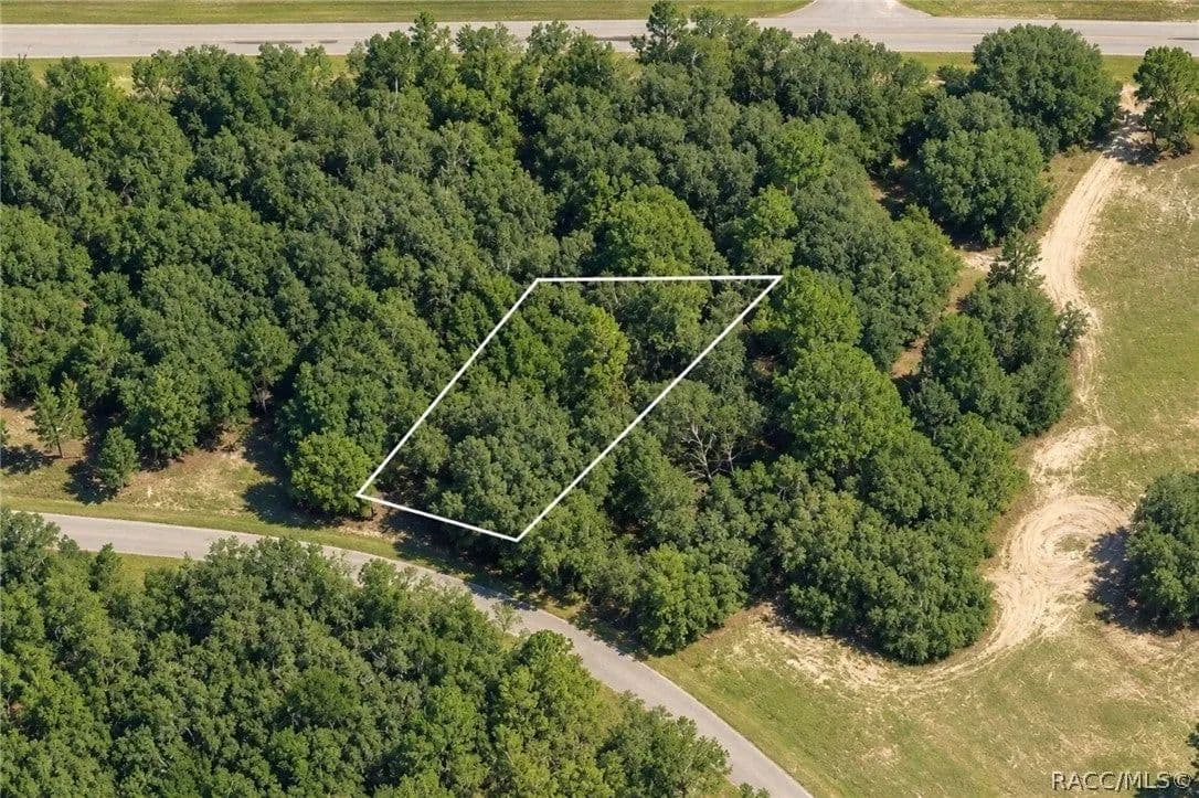 Lots & Land-Other in Dunnellon - land for sale