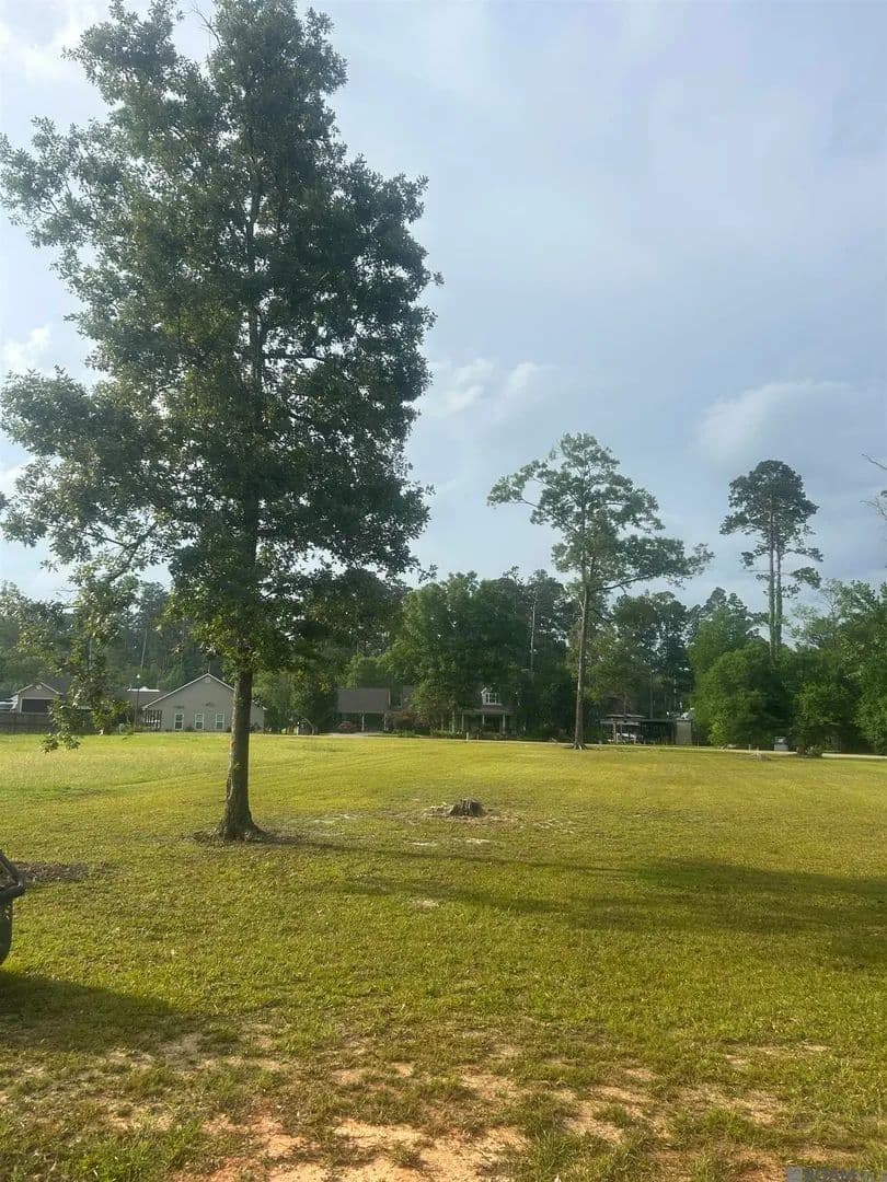 Property from River Pines Dr - KW - Springfield, Louisiana, 70462