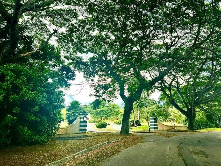 Vacant Land in St. Croix - United States Virgin Islands