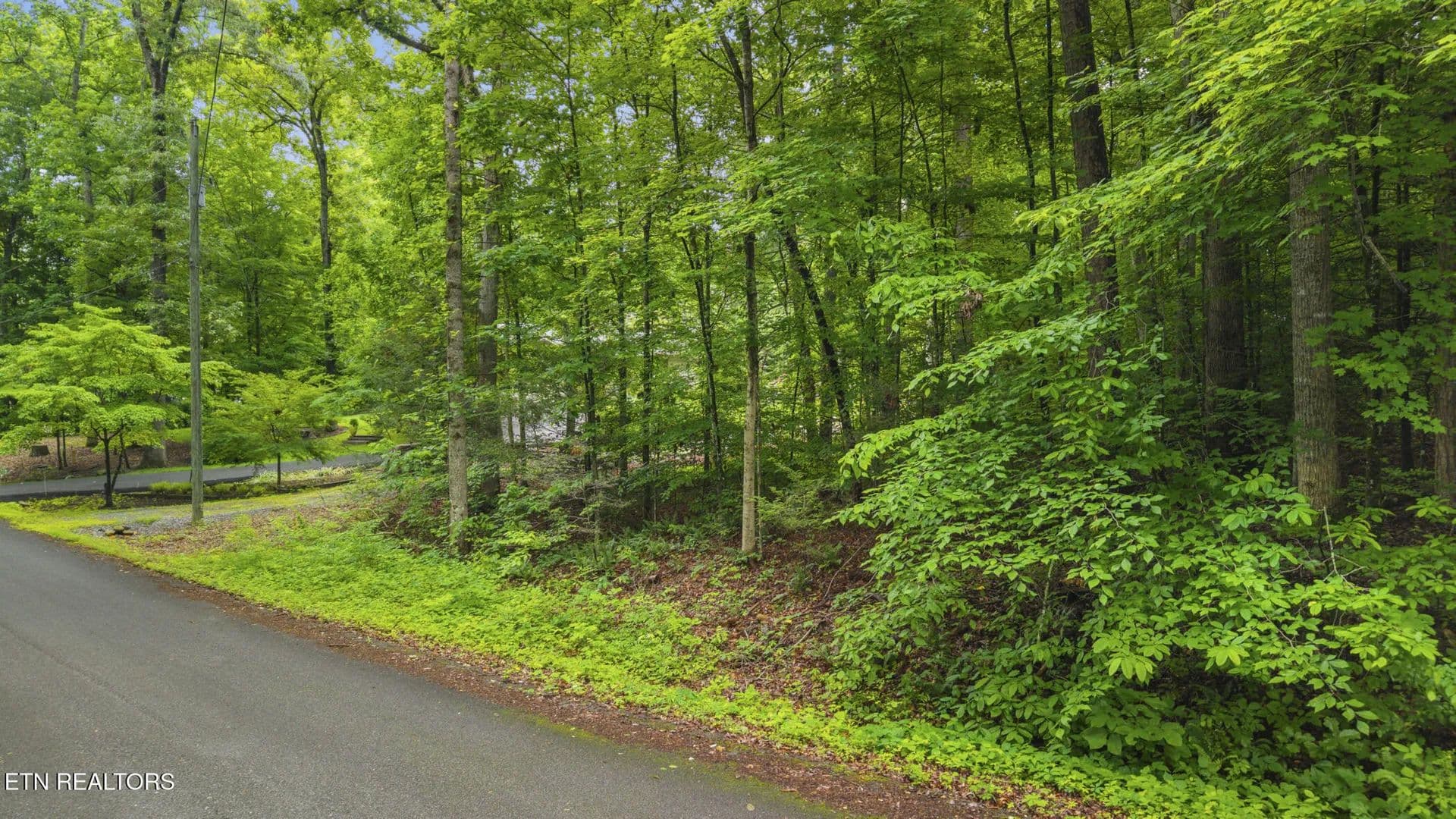Property from Peach Tree St - KW - Sevierville, Tennessee, 37862