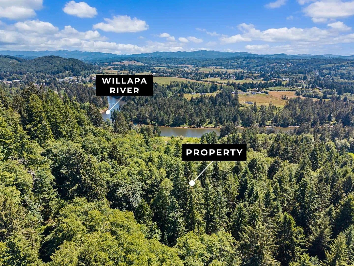 Tall Timber on Willapa Ridge - land for sale