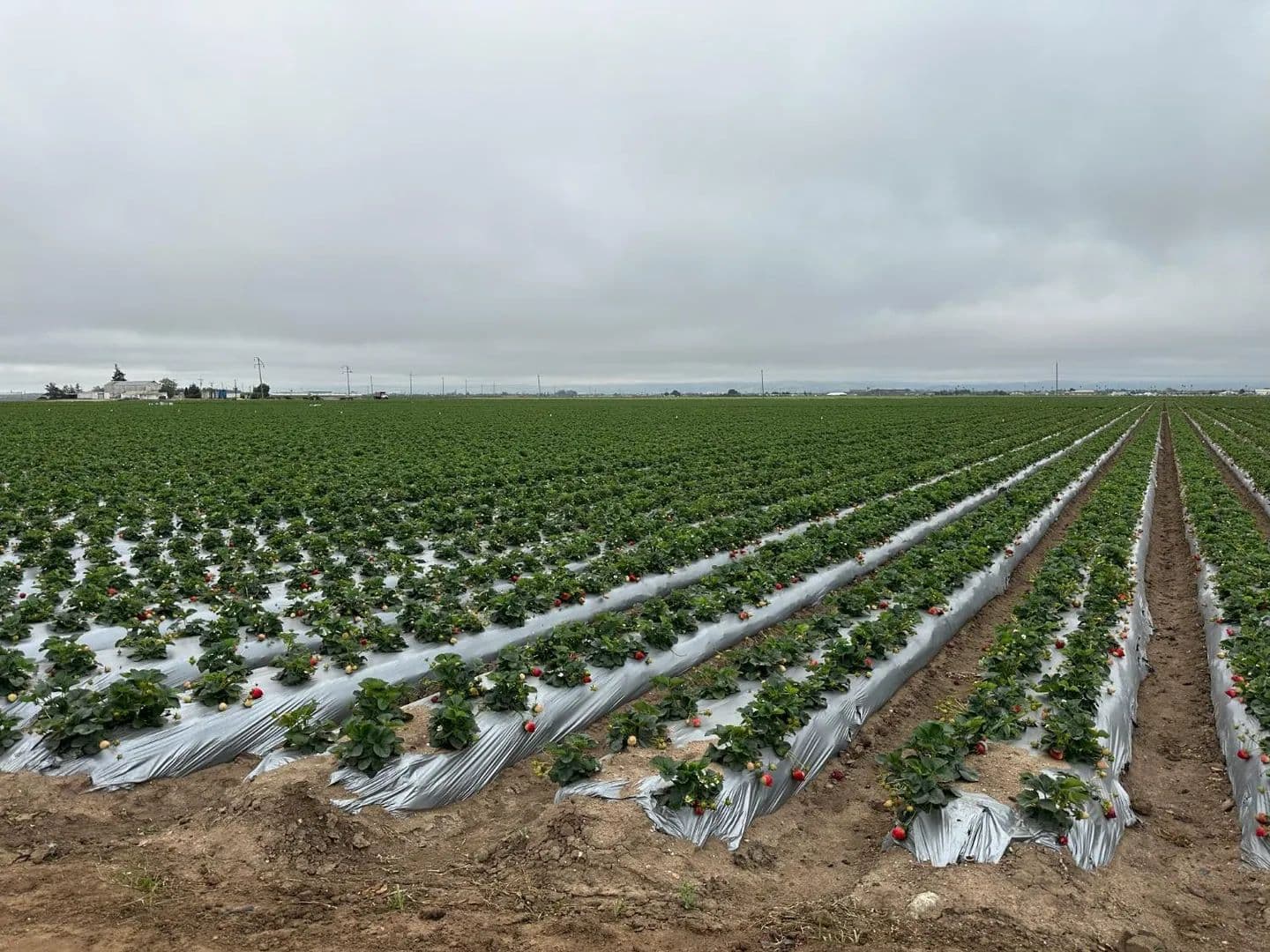 Property from 581 San Juan Grade Road - KW - Salinas, California, 93907