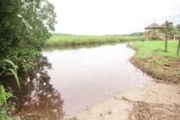 Vacant Land (0-10 Acres) in Green Pond - Green Pond, South Carolina, 29446