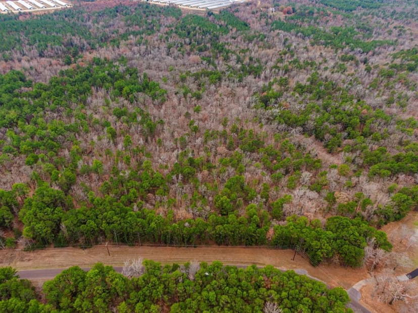 Property from 23.8 Acres County Road 3859 - KW