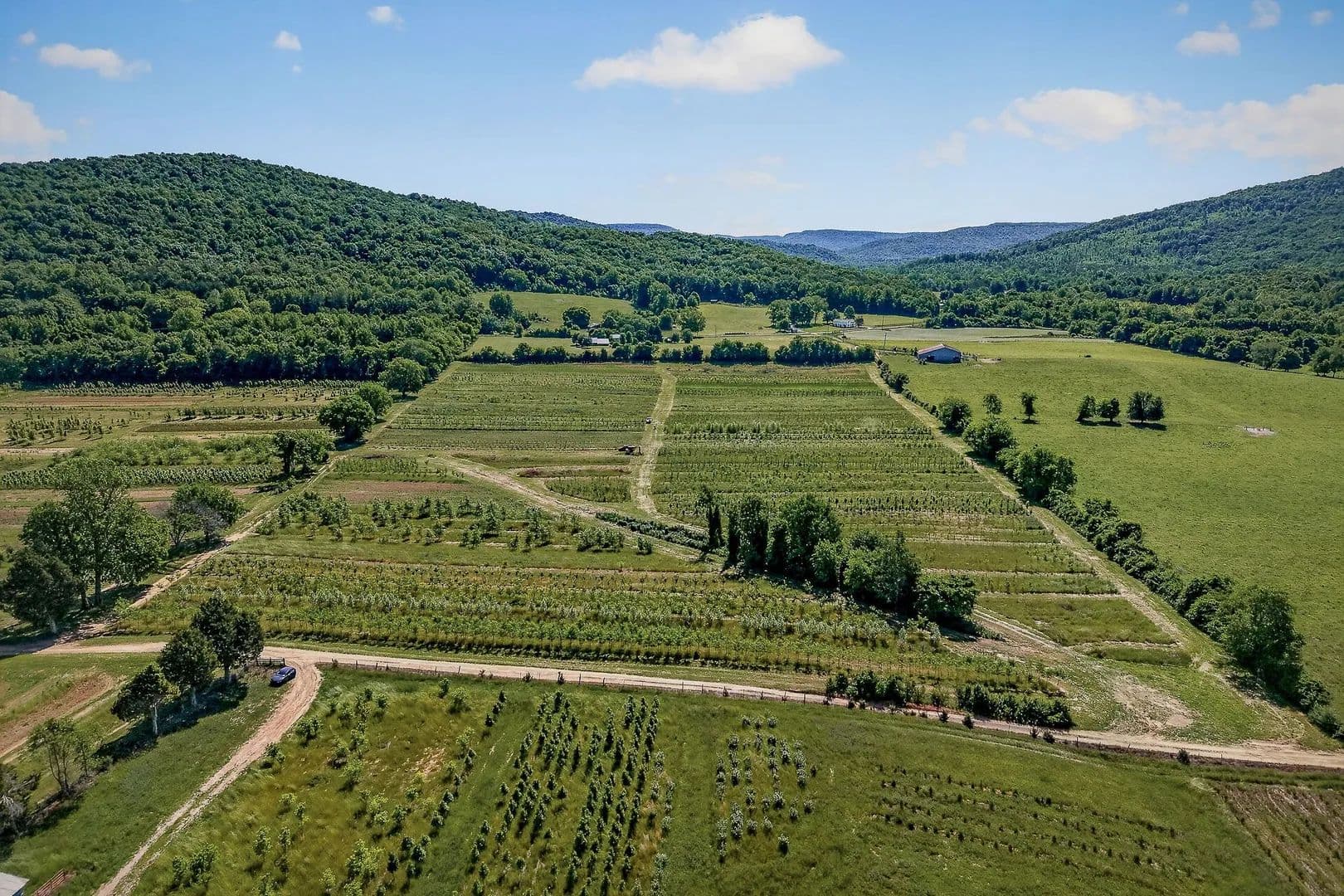 Property from 1 Hills Creek Rd - KW - McMinnville, Tennessee, 37110