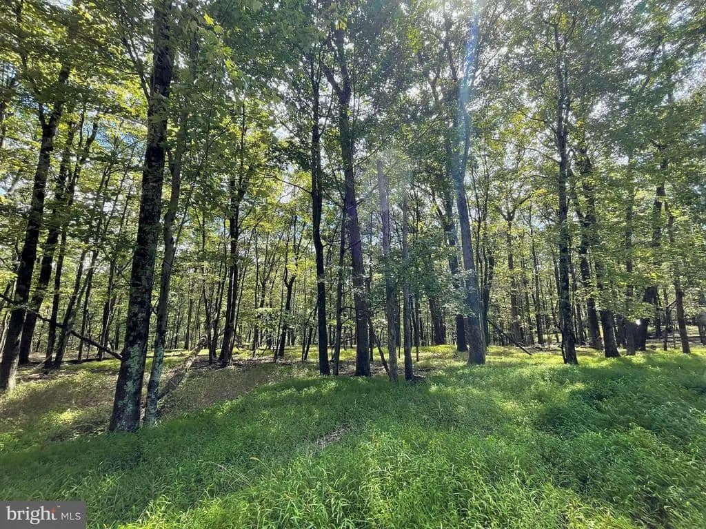 0.9 Acres of Land for Sale in ZION GROVE, PA - Zion Grove, Pennsylvania, 17985