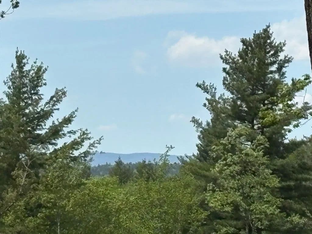 Vacant Land in Plainfield - Plainfield, Massachusetts, 01473