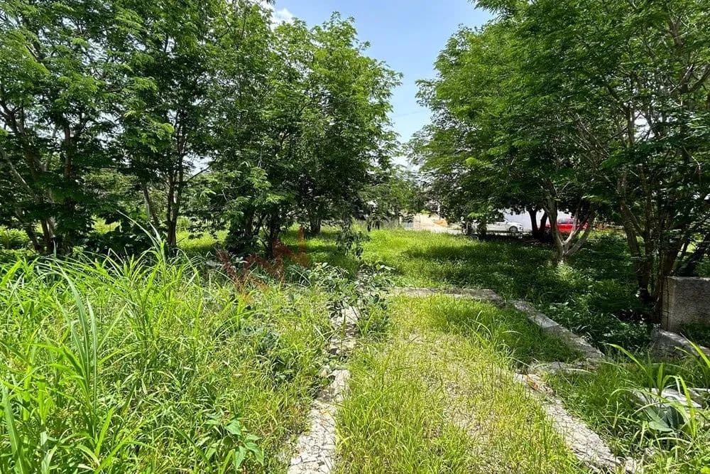 1884.77 Acres of Land for Sale in Mérida, Yucatán - land for sale
