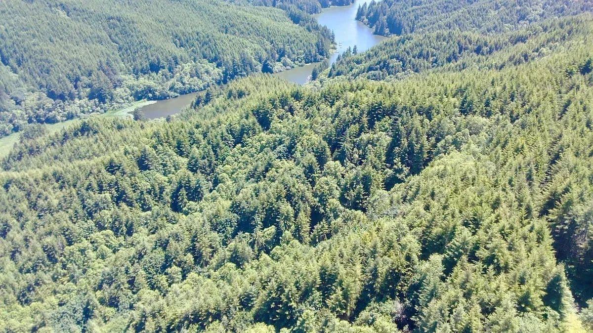 Lakeside - Reedsport, Oregon, 97467