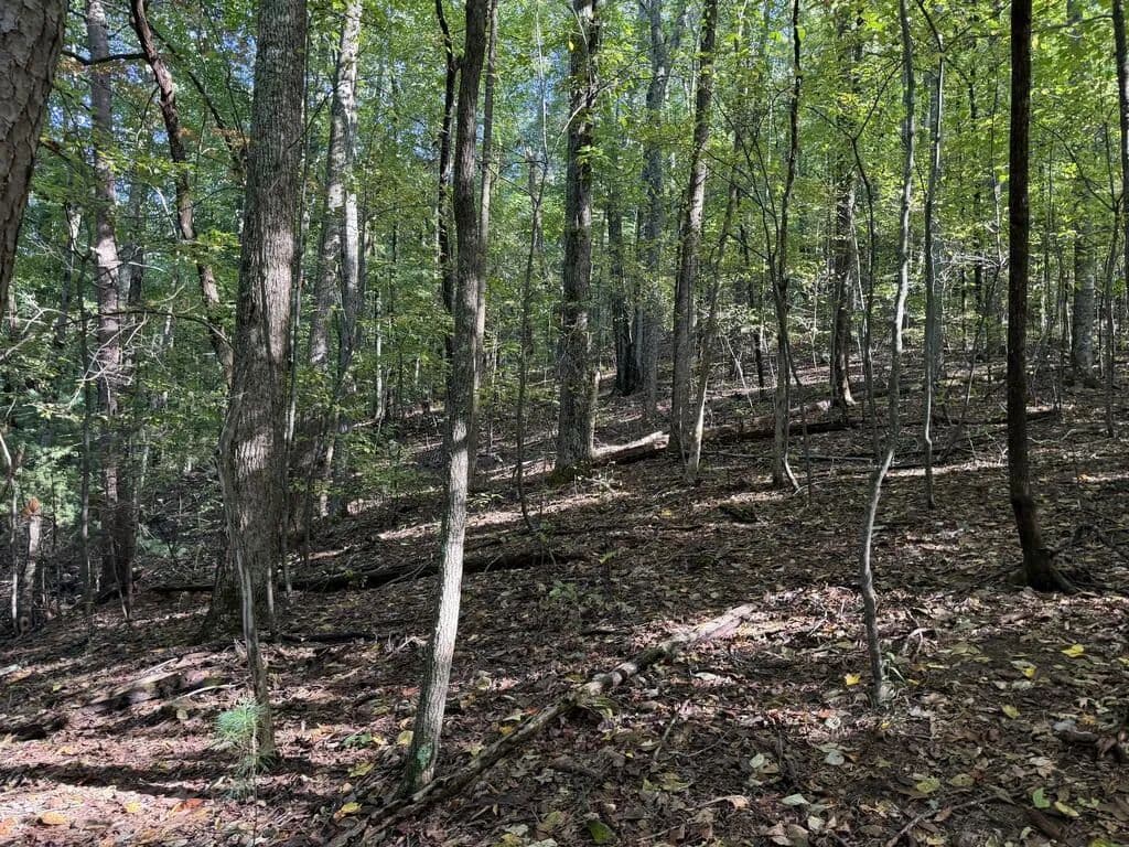 Lots & Land-Other in Ellijay - land for sale