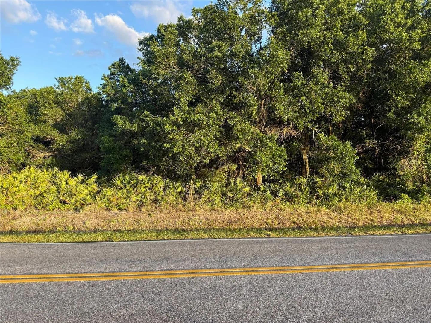 0.58 Acres of Land for Sale in Lake Wales, Florida - Lake Wales, Florida, 33859