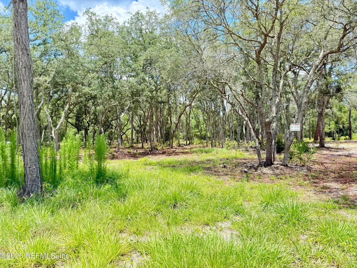 Property from 438 CHAMBERLAIN Road - KW - Satsuma, Florida, 32189