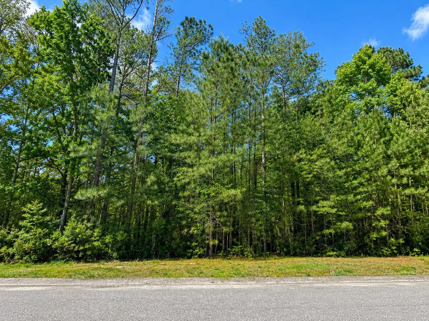 Land -Single Family Acreage in Providence Forge - Providence Forge, Virginia, 23140