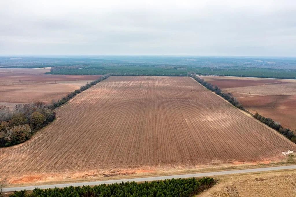 Vacant Land in Americus - land for sale