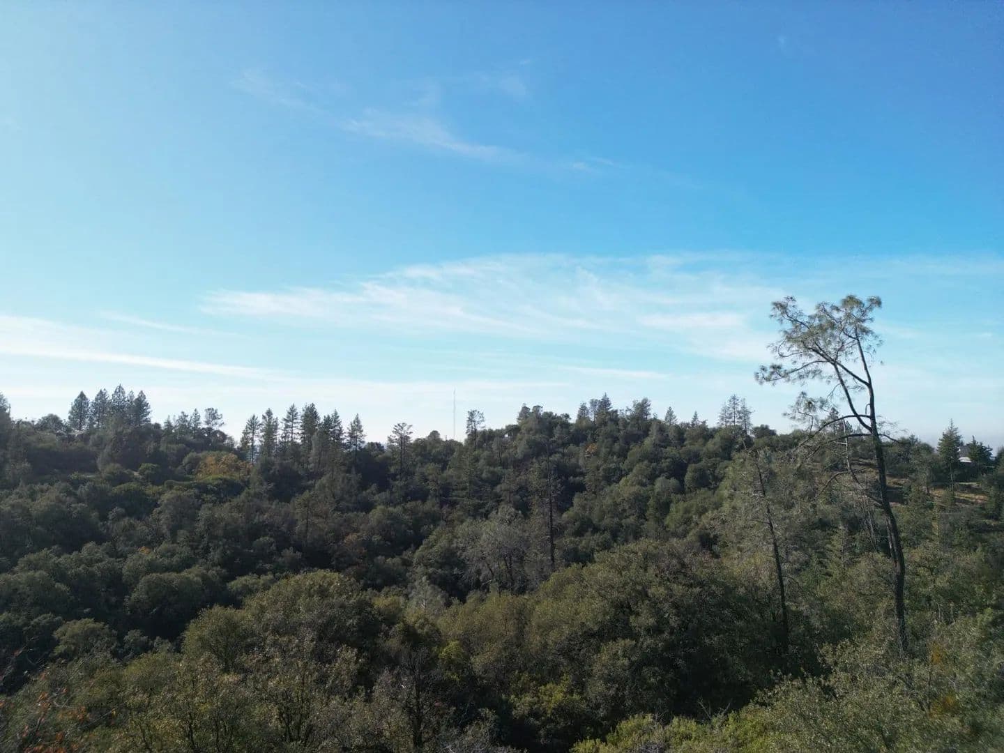 Property from 0 Sutter Highlands Dr. - KW - Sutter Creek, California, 95685