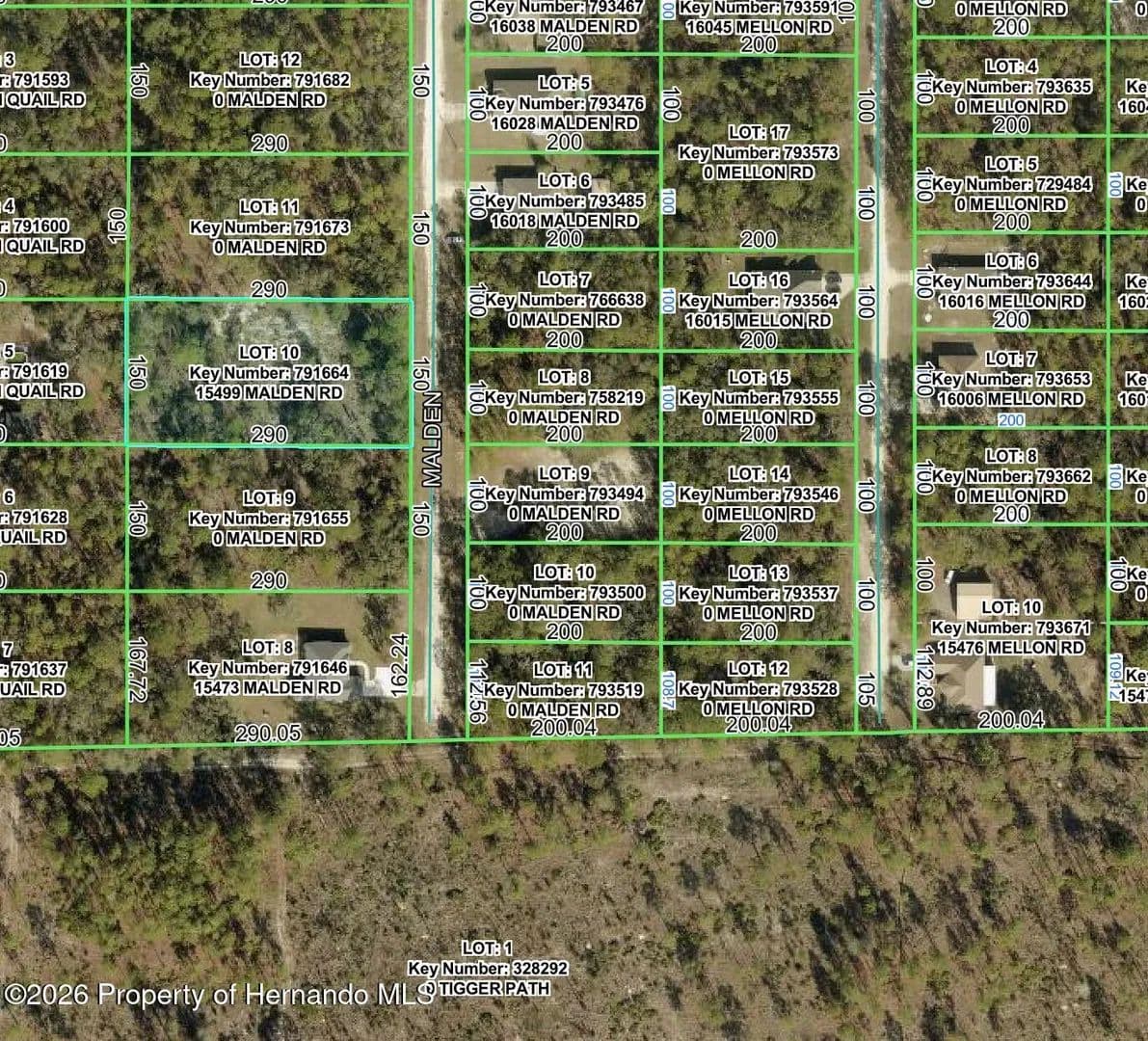 1 Acre of Land for Sale in Weeki Wachee, Florida - Weeki Wachee, Florida, 34614
