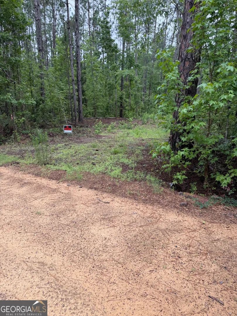 Property from 0 Highway 46 - KW - Cadwell, Georgia, 31009